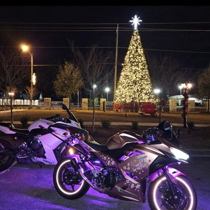 2017-2023 Kawasaki Ninja 400 Cherry Blossom Rose Gold Fairing Kit