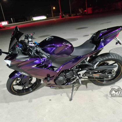 2017-2023 Kawasaki Ninja 400 Chameleon with Design Fairing Kit