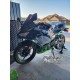 2017-2023 Kawasaki Ninja 400 Greenand Gray Fairing Kit