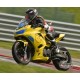 2017-2023 Kawasaki Ninja 400 Pikachu Fairing Kit
