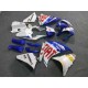 2009-2011 Yamaha YZF-R1 Custom Fairing Kit