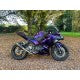 2017-2023 Kawasaki Ninja 400 Chameleon with Design Fairing Kit