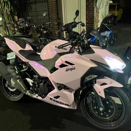 2017-2023 Kawasaki Ninja 400 Chameleon Fairing Kit