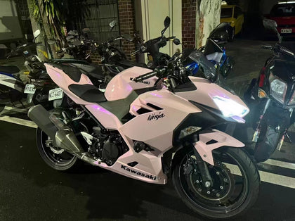2017-2023 Kawasaki Ninja 400 Chameleon Fairing Kit
