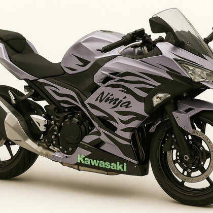 2017-2023 Kawasaki Ninja 400 Chameleon Gray/pink Fairing Kit