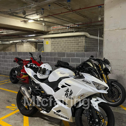 2017-2023 Kawasaki Ninja 400 Chameleon Fairing Kit