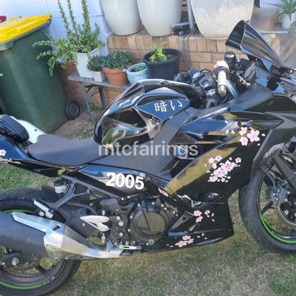 2017-2023 Kawasaki Ninja 400 Cherry Blossom Fairing Kit