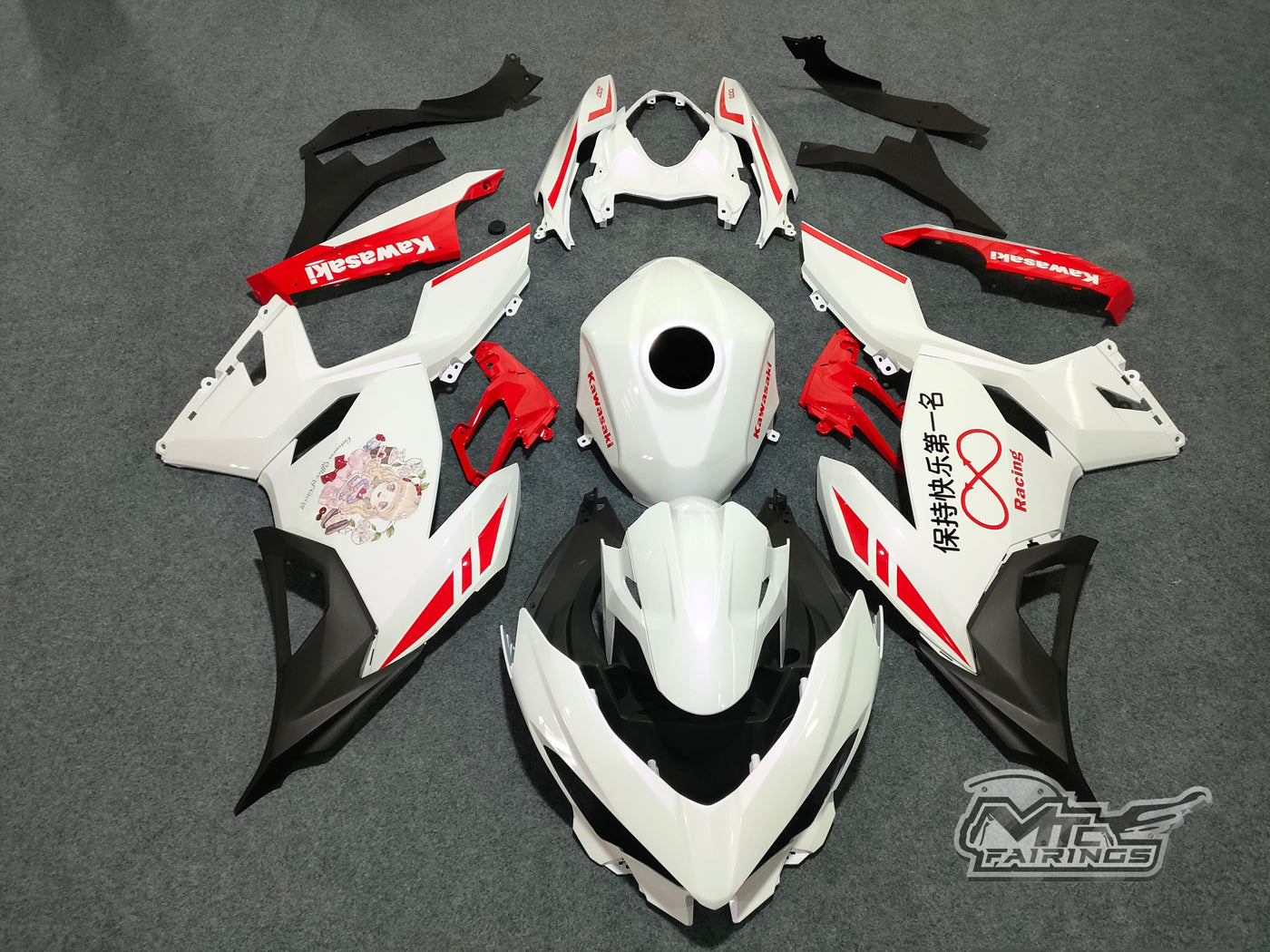2017-2023 Kawasaki Ninja 400 Brand New Fairing Kit
