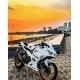 2017-2023 Kawasaki Ninja 400 Chameleon Gold Fairing Kit