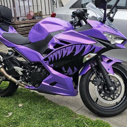 2017-2023 Kawasaki Ninja 400 Chameleon Purple/pink Shark Mouth Fairing Kit